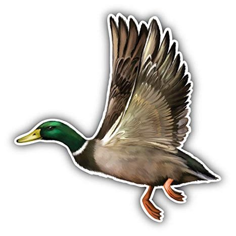 KW Vinyl Magnet Male Mallard Duck Truck Car Magnet Bumper Sticker Magnetic 5"