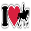 KW Vinyl Magnet I Love Horse Sport Truck Car Magnet Bumper Sticker Magnetic 5" view 1