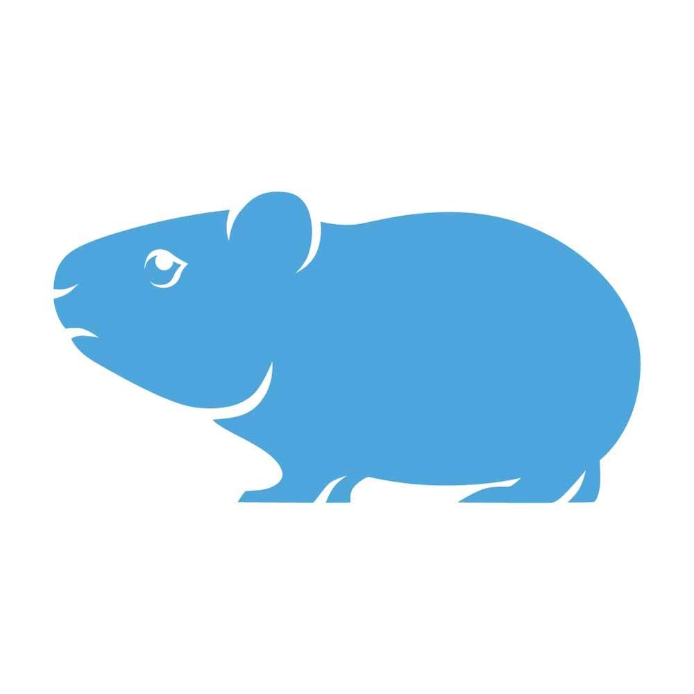 Dark Spark Decals Pet Guinea Pig 11 inch Light Blue Indoor Outdoor Vinyl Decal