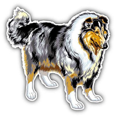 KW Vinyl Magnet Long Haired Collie Dog Truck Car Magnet Bumper Sticker Magnetic 5"