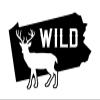 JB Print Magnet Pennsylvania Wild Deer Vinyl Decal Sticker Car Waterproof Car Decal Magnetic Bumper Sticker 5" view 1
