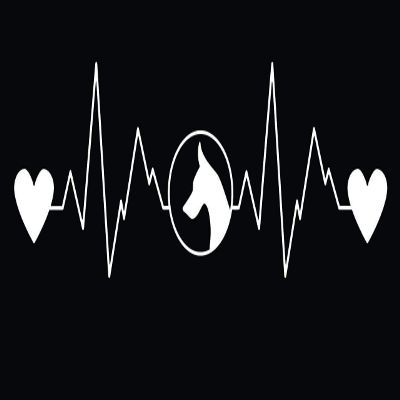 JB Print Magnet Doberman Heartbeat Decal Premium Quality White Vinyl Vinyl Decal Sticker Car Waterproof Car Decal Magnetic Bumper Sticker 5"