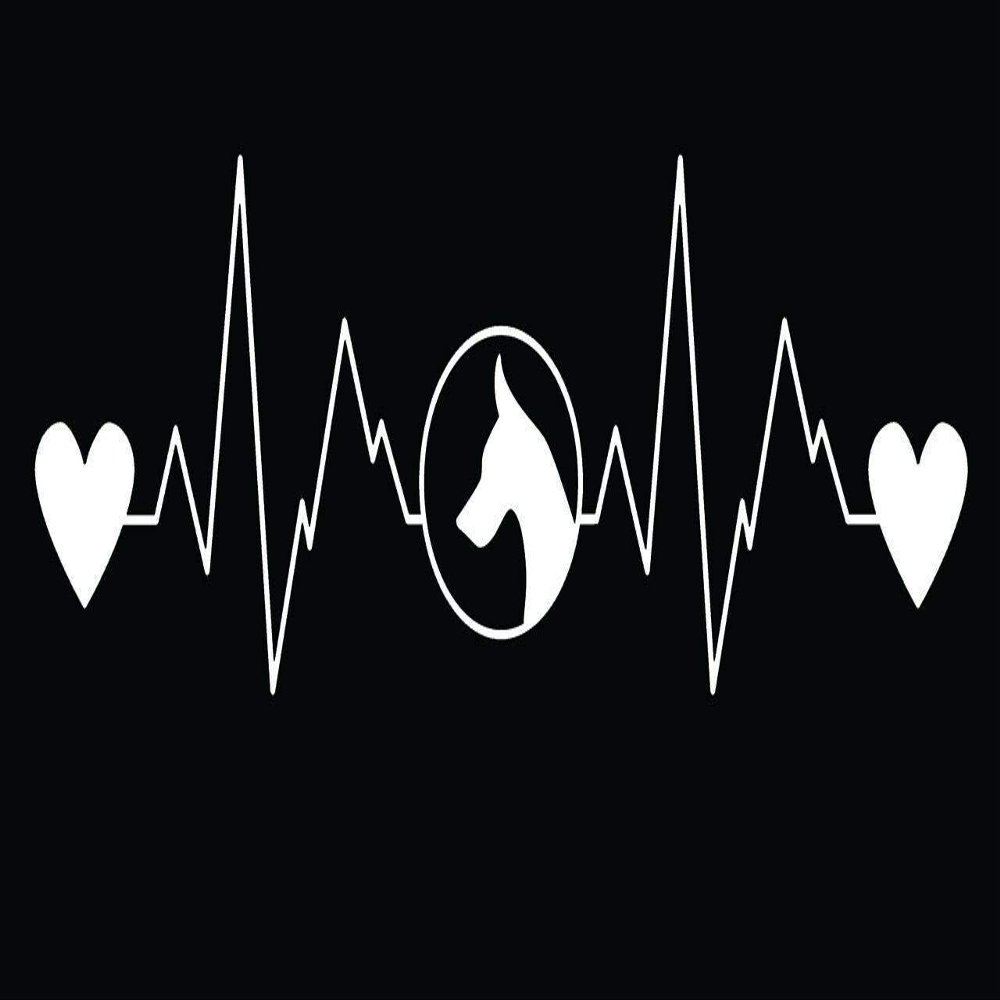 JB Print Magnet Doberman Heartbeat Decal Premium Quality White Vinyl Vinyl Decal Sticker Car Waterproof Car Decal Magnetic Bumper Sticker 5"