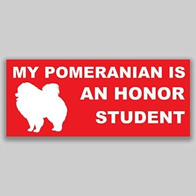 JB Print Magnet My Pomeranian is an Honor Student Dog Mom Vinyl Decal Sticker Car Waterproof Car Decal Magnetic Bumper Sticker 5"