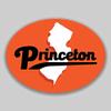 JB Print Magnet Princeton New Jersey Oval Vinyl City Town College University Vinyl Decal Sticker Car Waterproof Car Decal Magnetic Bumper Sticker 5" view 1