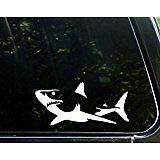 JB Print Magnet Shark Vinyl Die Cut Decal/Bumper Sticker for Windows Vinyl Decal Sticker Car Waterproof Car Decal Magnetic Bumper Sticker 5"