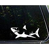 JB Print Magnet Shark Vinyl Die Cut Decal/Bumper Sticker for Windows Vinyl Decal Sticker Car Waterproof Car Decal Magnetic Bumper Sticker 5"