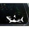 JB Print Magnet Shark Vinyl Die Cut Decal/Bumper Sticker for Windows Vinyl Decal Sticker Car Waterproof Car Decal Magnetic Bumper Sticker 5" view 1