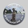 JB Print Magnet I'd Rather Be with My Weimaraner Dog Mom Dad Animal Lover Vinyl Decal Sticker Car Waterproof Car Decal Magnetic Bumper Sticker 5" view 1