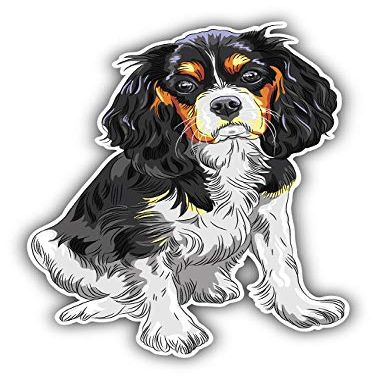 KW Vinyl Magnet Cavalier King Charles Spaniel Breed Dog Bumper Sticker Decal