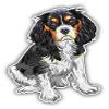 KW Vinyl Magnet Cavalier King Charles Spaniel Breed Dog Bumper Sticker Decal view 1