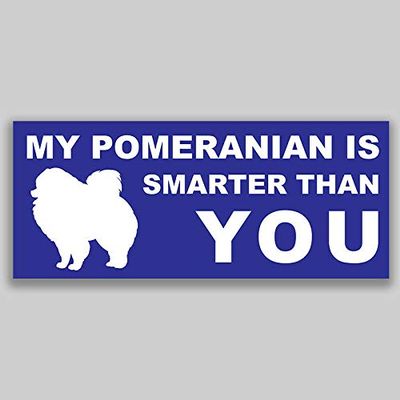 JB Print Magnet My Pomeranian is Smarter Than You Dog Mom Animal Vinyl Decal Sticker Car Waterproof Car Decal Magnetic Bumper Sticker 5"