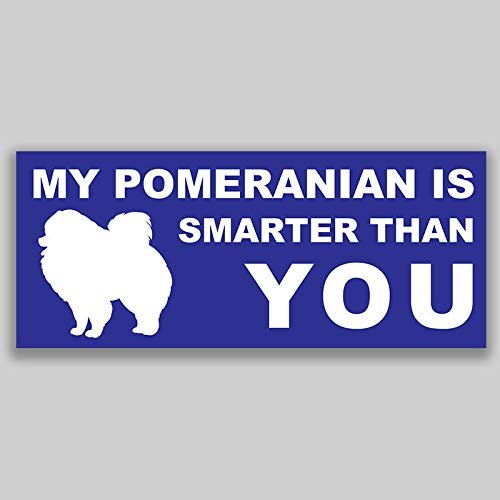 JB Print Magnet My Pomeranian is Smarter Than You Dog Mom Animal Vinyl Decal Sticker Car Waterproof Car Decal Magnetic Bumper Sticker 5"