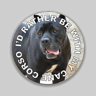 JB Print Magnet I'd Rather Be with My Cane Corso Dog Mom Dad Animal Lover Vinyl Decal Sticker Car Waterproof Car Decal Magnetic Bumper Sticker 5"