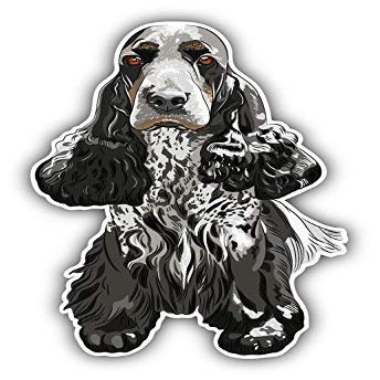 KW Vinyl Magnet English Cocker Spaniel Dog Truck Car Magnet Bumper Sticker Magnetic 5"