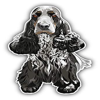 KW Vinyl Magnet English Cocker Spaniel Dog Truck Car Magnet Bumper Sticker Magnetic 5"