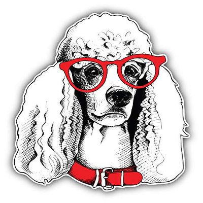 KW Vinyl Magnet Fashion Poodle Dog Face Sketch Truck Car Magnet Bumper Sticker Magnetic 5"