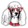 KW Vinyl Magnet Fashion Poodle Dog Face Sketch Truck Car Magnet Bumper Sticker Magnetic 5" view 1
