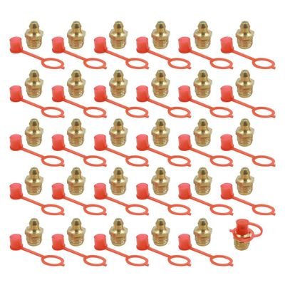 X AUTOHAUX M10 Straight Brass Hydraulic Grease Nipple Fittings with Dust Cap - 30 Set