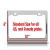 Cirneco DELL'ETNA Dog Paw Print License Plate Frame Tag & Holder Chrome view 4