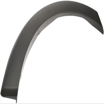 Dorman 927-330 Front Passenger Side Door Molding Compatible with Select Ford Models