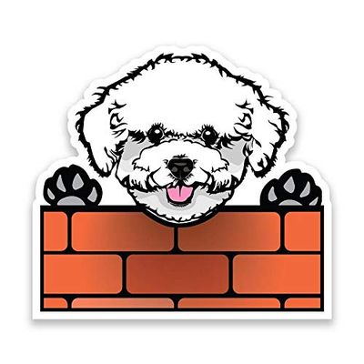 Bichon Frise Dog Peeking Over Wall Vinyl Decal Sticker - Car Truck Van SUV Window Wall Cup Laptop - One 6.5 Inch Decal - MKS1239