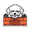 Bichon Frise Dog Peeking Over Wall Vinyl Decal Sticker - Car Truck Van SUV Window Wall Cup Laptop - One 6.5 Inch Decal - MKS1239 view 1