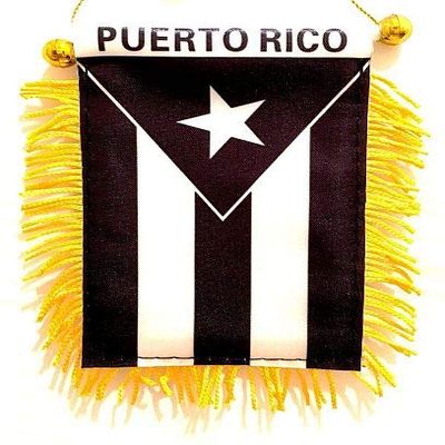 Puerto Rico Black & White Window Hanging Flag - Rear view Mirror & Double Sided - Fringed Puerto Rican Mini Banner with Suction Cup