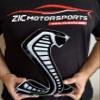 ZIC Motorsports 2020 Shelby Cobra GT500 Snake Heavy Duty Metal Sign (Small) view 1