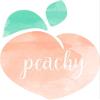 MAGNET Peachy Magnetic Car Sticker Decal Refrigerator Metal Magnet Vinyl 5" view 1
