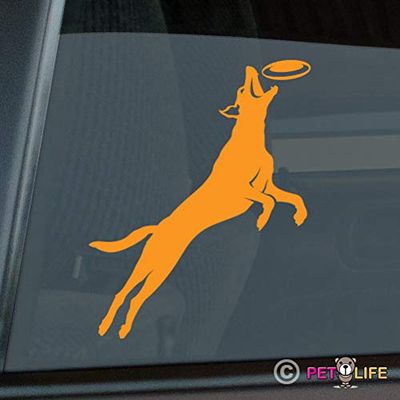 Mister Petlife Border Collie Frisbee Disc Dog Sticker Vinyl Auto Window Park v2 st. st Orange 4.77" x 6.00"