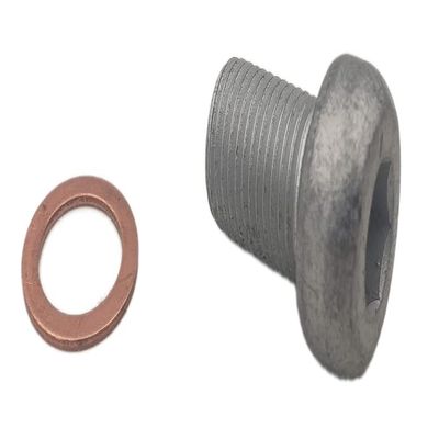 Suzuki OEM Drain Plug 09248-12009 with Drain Plug Gasket 09168-12017 for Suzuki DF9.9B/DF15A/DF20A Outboard Motors