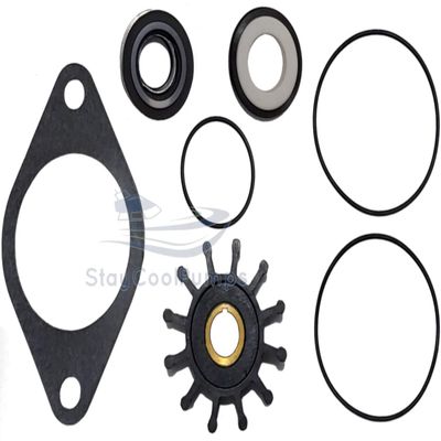 Minor Repair Kit for Sherwood Pumps G-701, G-702 and Onan Pumps 132-0358, 132-0459
