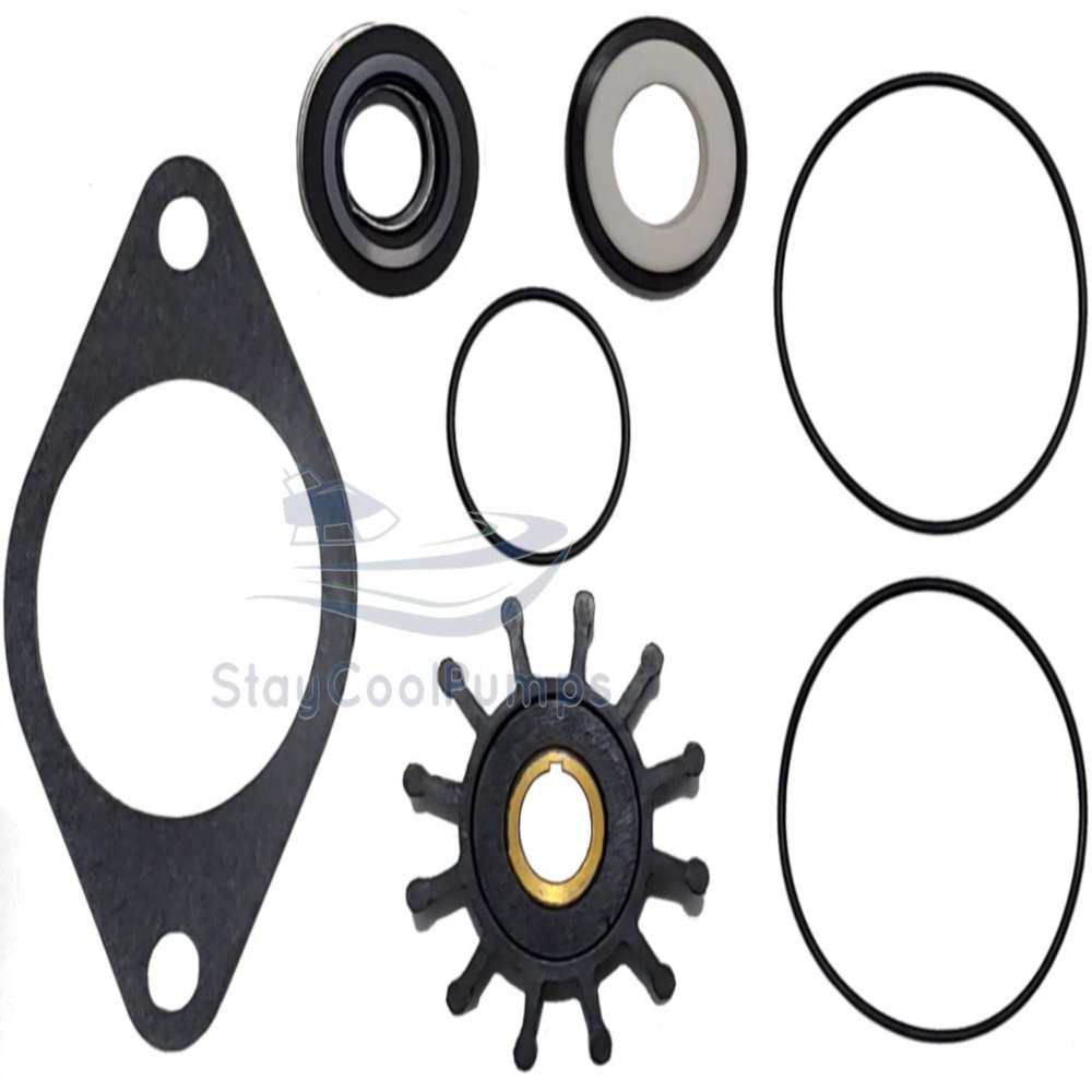 Minor Repair Kit for Sherwood Pumps G-701, G-702 and Onan Pumps 132-0358, 132-0459