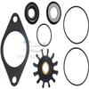 Minor Repair Kit for Sherwood Pumps G-701, G-702 and Onan Pumps 132-0358, 132-0459 view 1