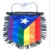 Puerto Rico Rican flags for cars LGBT Quality Made Boricua STICKS to glass easy car interior flag accessory small mini Banner hanging sticker decal automobile LGBTQ pride Rainbow design accessories view 3