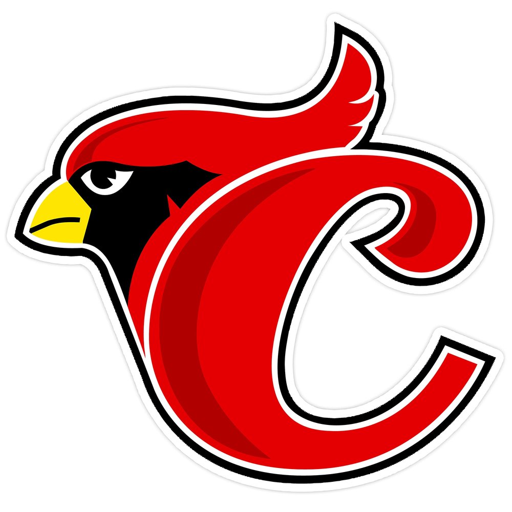 Cardenales de Lara Baseball Team Car Decal/Sticker Multiple Sizes (10)
