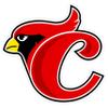 Cardenales de Lara Baseball Team Car Decal/Sticker Multiple Sizes (10) view 1
