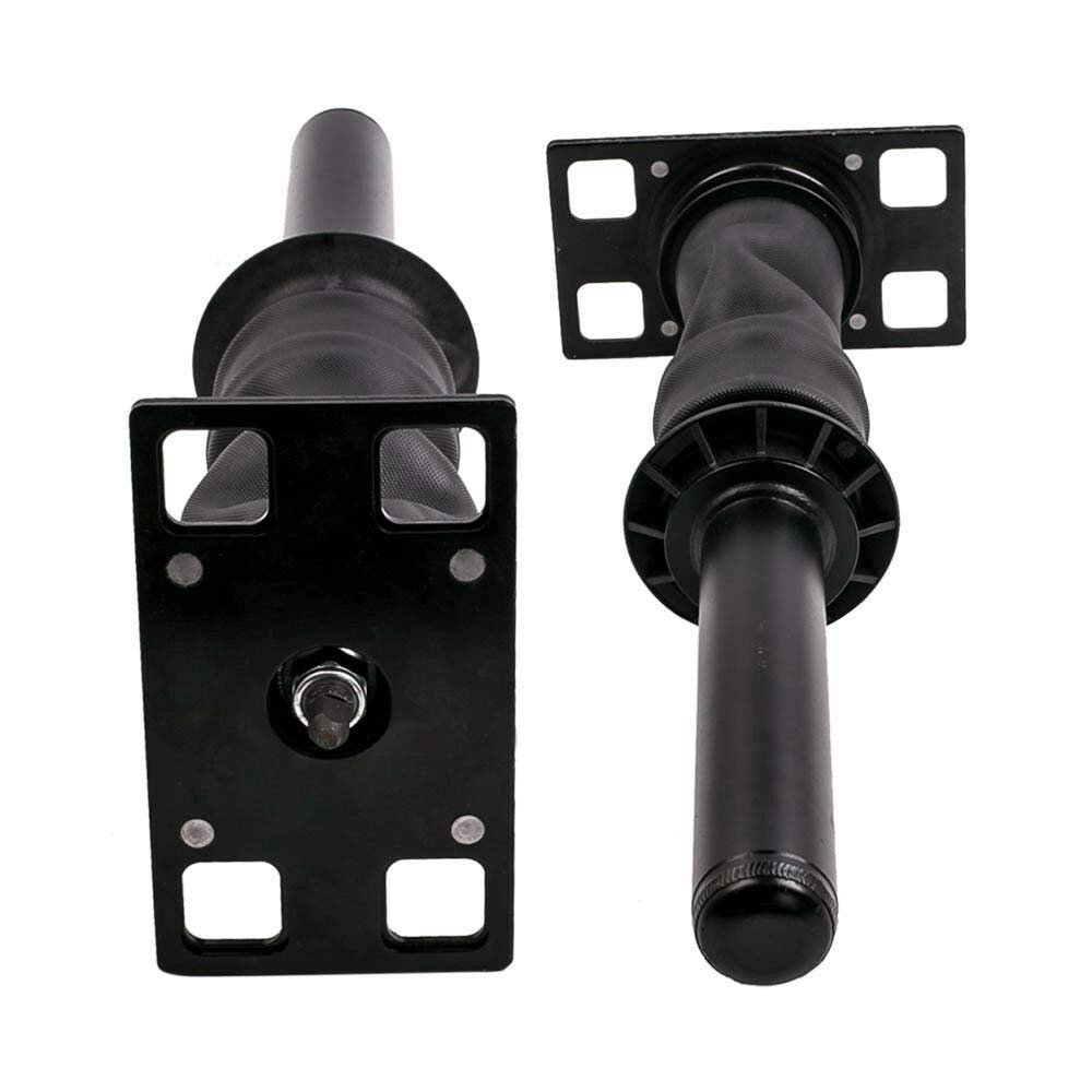 Compatible with 2X Cab Shock Absorber Strut for International Prostar 2008+ 3688695C91