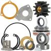 Major rebuild kit for Sherwood raw sea water cooling pumps. Includes bearings and seals. Fits G15, G21, G30-2B, G30-2, G9901, G9903, G55-2, J70, RA057007 and K75B view 1