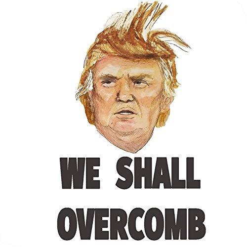 Donald Trump We Shall Overcomb Vinyl Decal Wall Laptop Bumper Sticker 5"