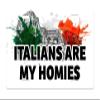 Makoroni - ITALIANS ARE MY HOMIES Italy Italian Des#1 Aluminum Car License Plate view 1