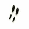 Kyosho Mini-Z Crawler Ball Stud Set MX018 view 3