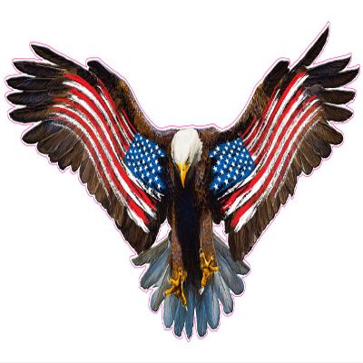 Bald Eagle Worn American Flag Decal from The United States (6" x 3")