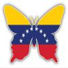 PRS Vinyl Venezuela Butterfly World Flag Double Sided Stainless Steel Keychain Key Ring Chain Holder Car/Key Finder view 3