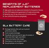 AJC Battery Compatible with Arctic Cat Pantera 600 EFi 600CC Snowmobile Battery (2004-2005) view 3