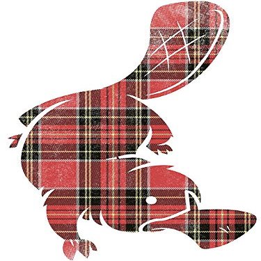 Magnet plaidypus Car Magnetic Vinyl Bumper Sticker 5'' x 4''