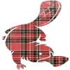 Magnet plaidypus Car Magnetic Vinyl Bumper Sticker 5'' x 4'' view 1