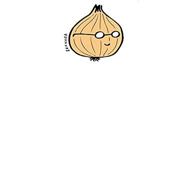 Magnet Onion >> Palindrome = ONINO Car Magnetic Vinyl Bumper Sticker 5'' x 4''