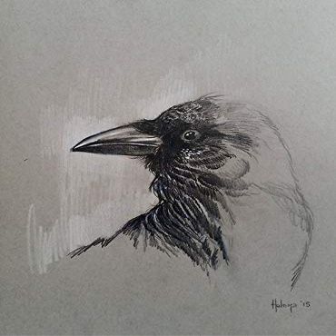 Magnet Raven Car Magnetic Vinyl Bumper Sticker 5'' x 4''